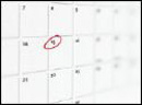 Upcoming Events - irie dingo Click Here